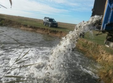 На Дону увеличат поддержку рыбной отрасли