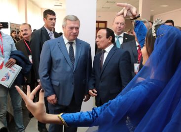 Жители Дона отметили День народного единства