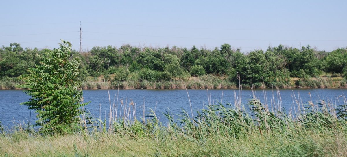 С начала лета на водоемах Ростовской области погибли 7 детей