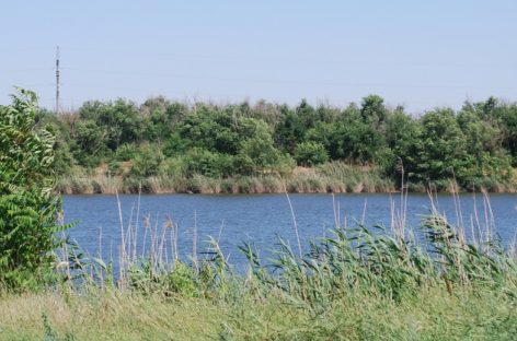 В Сальске в черте города может появиться рыбоводный участок