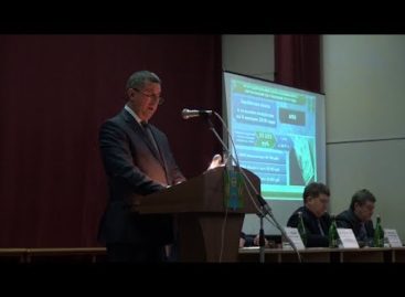 Итоги за девять месяцев: как сработал Сальский район?