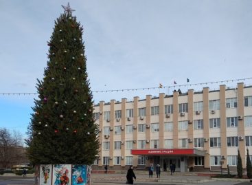 Salsknews.ru поздравляет вас с Новым годом!