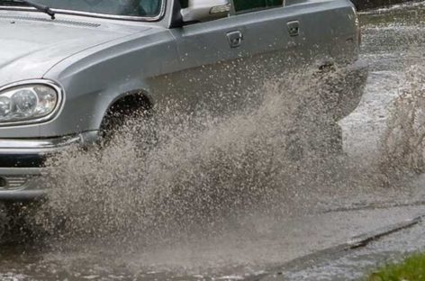 В Сальске водитель-лихач сбил котёнка на глазах его юной хозяйки