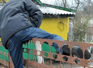 Пока хозяева отсутствовали, на их даче кто-то побывал