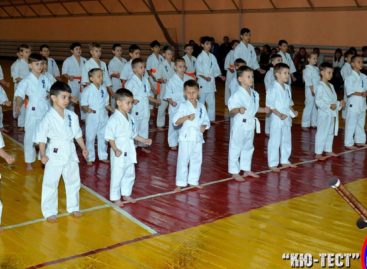 Сальские каратисты киокусинкай показали, чему научились за год