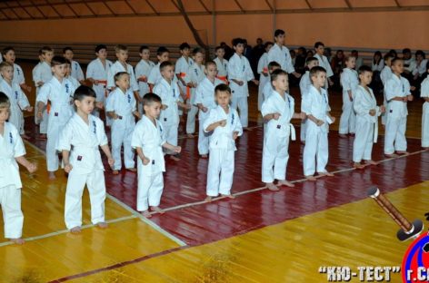 Сальские каратисты киокусинкай показали, чему научились за год