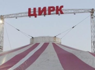Что делать, если представление цирка-шапито оставило неприятные впечатления?