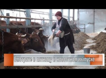 Новый корпус