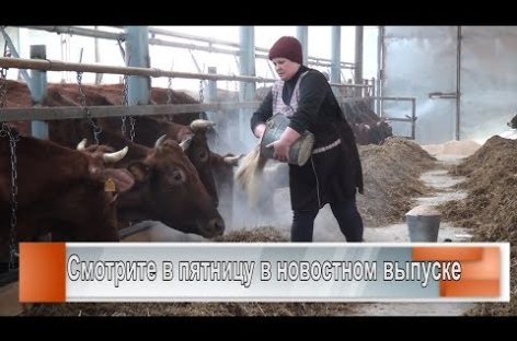 Новый корпус