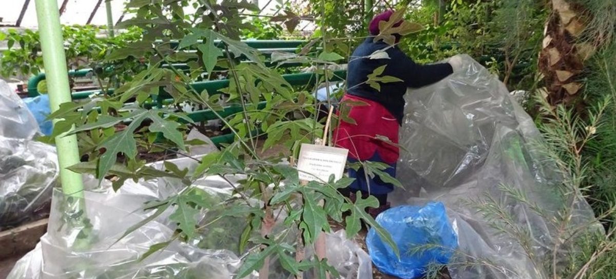 На базе ЮФУ заработали курсы повышения квалификации