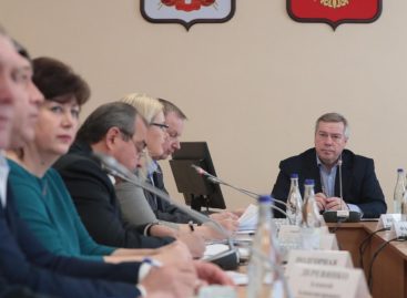 Губернатор Голубев: «Реализация нацпроекта «Культура» зависит от собственной расторопности и заинтересованности глав»