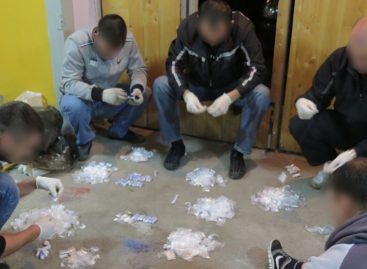 Осуждена банда, сбывавшая наркотики в Сальском районе
