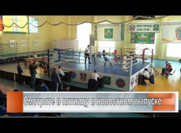 Сальск принимает боксёров РО