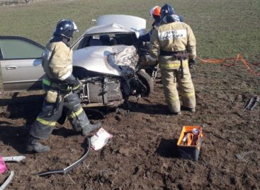 В смертельной аварии в Сальском районе погибли сразу три человека