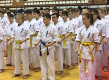 Сальчане успешно выступили на первенстве ЮФО по каратэ киокусинкай