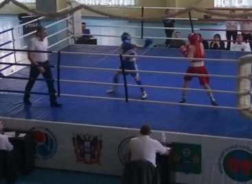 Первенство Ростовской области по боксу прошло в Сальске. Наши спортсмены — среди лучших