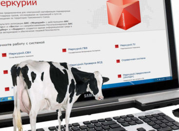 Сальским владельцам личных подсобных хозяйств нужно зарегистрироваться в «Меркурии»