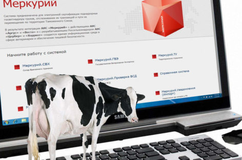 Сальским владельцам личных подсобных хозяйств нужно зарегистрироваться в «Меркурии»