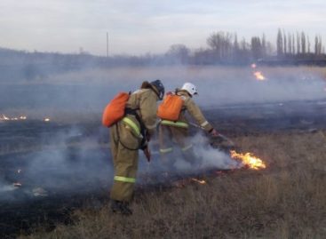 Спасательные службы готовятся к началу «пожарного сезона»