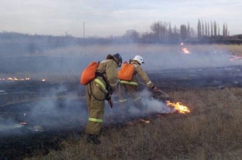 Спасательные службы готовятся к началу «пожарного сезона»