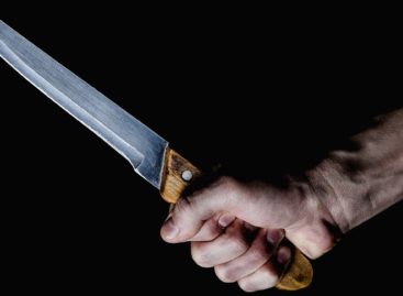 В Сальском районе случилось сразу два убийства