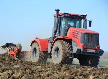 На полях хозяйства «Дон-1» в разгаре полевые работы