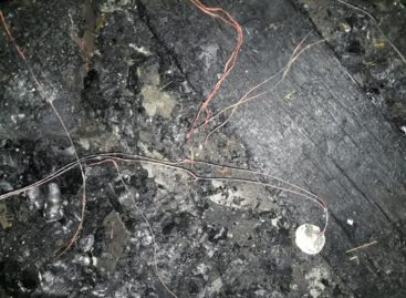 В Сальском Плодопитомнике горела хозяйственная постройка