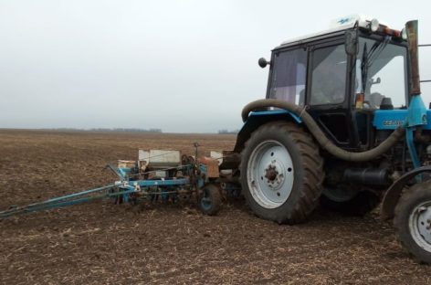 На полях Сальского района продолжаются весенне-полевые работы
