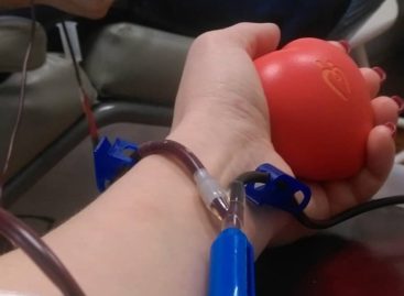 На Дону заработал Южный регистр доноров костного мозга