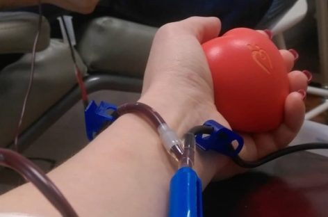 На Дону заработал Южный регистр доноров костного мозга