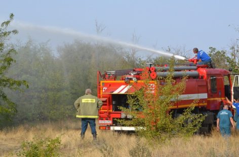 Въезд в лесные массивы Сальского района скоро снова запретят