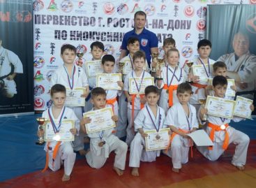 Каратисты клуба «Катана» показали себя на татами в Ростове