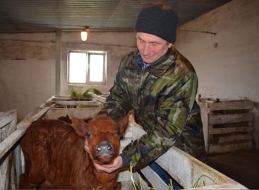 В хозяйстве «Русь» развивают животноводство и ведут весенне-полевые работы