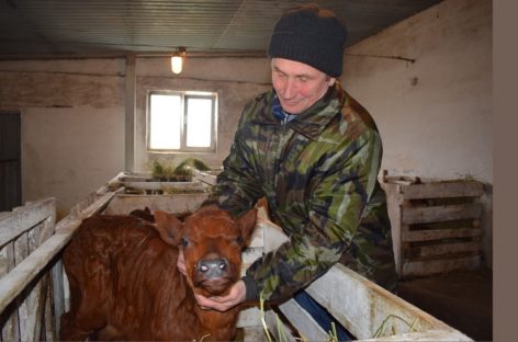 В хозяйстве «Русь» развивают животноводство и ведут весенне-полевые работы