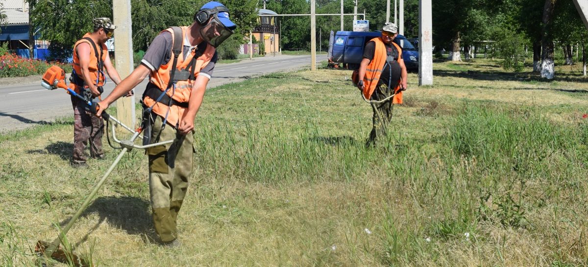 Где трава в Сальске не растёт?