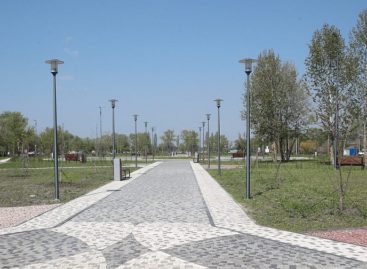Губернатор потребовал ускорить создание Старочеркасского парка