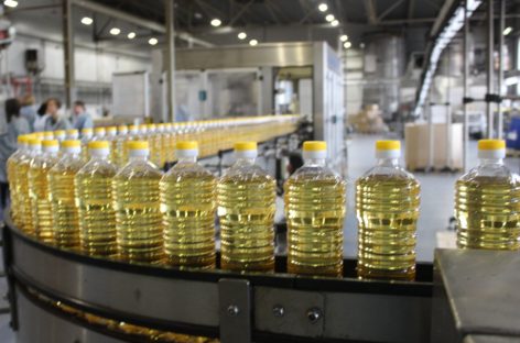 Донской регион занял первое место в России по экспорту продукции АПК