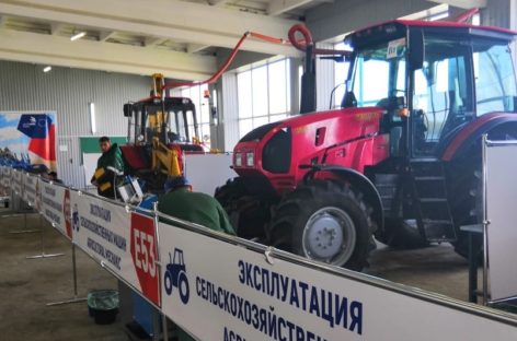 Дончане завоевали золотые медали на отборочных соревнованиях чемпионата «Молодые профессионалы»