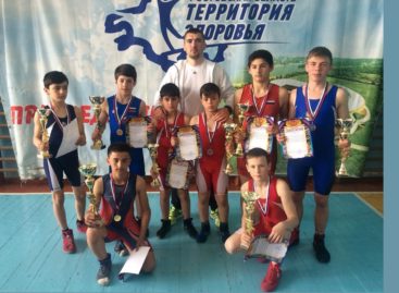 Гигантовские борцы привезли семь медалей из станицы Егорлыкской