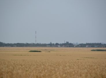 В сельских поселениях Сальского района кипит работа