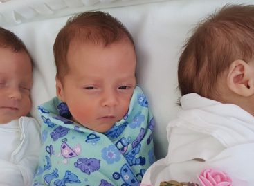 В Ростовской области за четыре месяца родились 121 двойня и 4 тройни