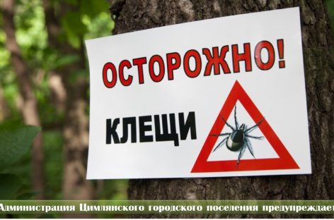 Клещи очень активны: уже 125 человек пострадали от их укусов