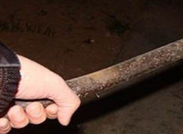 Палкой по голове сальчанку ударили соседи