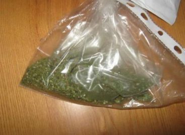 Транспортные полицейские в Сальске изъяли из незаконного оборота марихуану