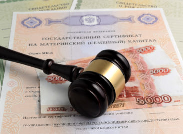 Сальчанок обвиняют в мошенничестве при получении средств маткапитала