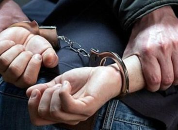 Сальчанин в состоянии невменяемости угрожал убийством семье и вымогал деньги