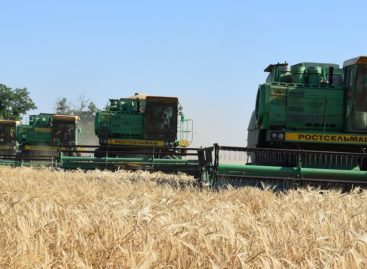 В Сальском районе убрано почти 70% площадей