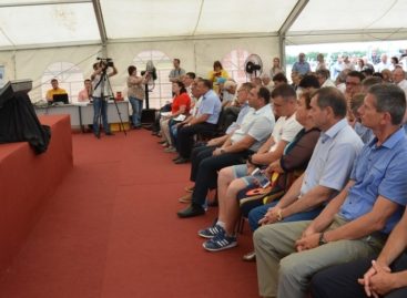 4000 аграриев посетили «День донского поля»