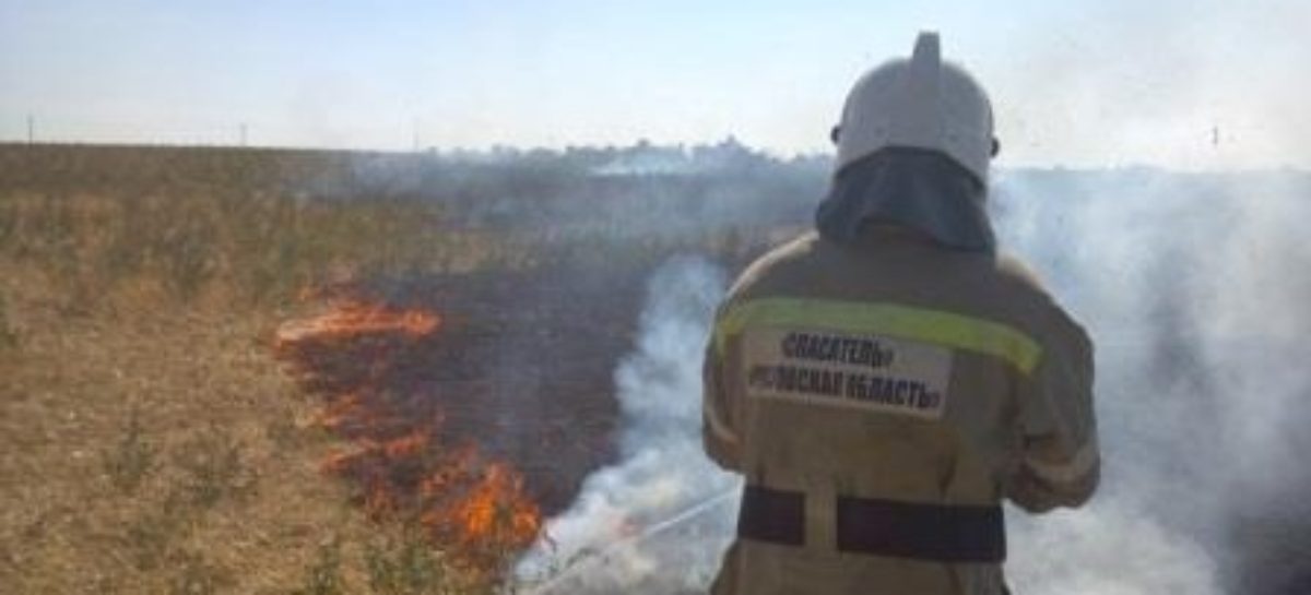 В Сальске и районе продолжают гореть трава и мусор
