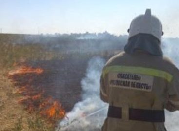 В Сальске и районе продолжают гореть трава и мусор
